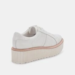 TIGER SNEAKERS WHITE LEATHER(Tiger Sneakers White Leather) 22 TIGER SNEAKERS WHITE LEATHER(Tiger Sneakers White Leather) -Dolce Vita DOLCEVITA SNEAKERS TIGER WHITELEATHER 03