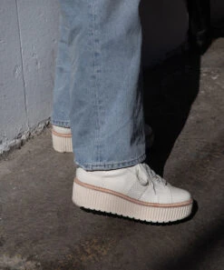 TIGER SNEAKERS WHITE LEATHER(Tiger Sneakers White Leather) 25 TIGER SNEAKERS WHITE LEATHER(Tiger Sneakers White Leather) -Dolce Vita tiger 3